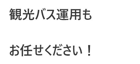 観光バス運用もお任せください！